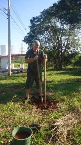 Quinta-Feira 07/04